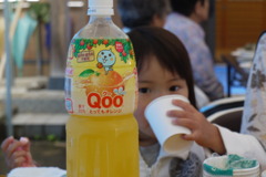 クー