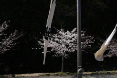 春まつり