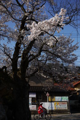 いってきま～す。