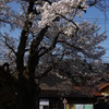 いってきま～す。