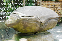 いらっしゃい