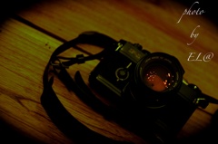 親父からのプレゼント