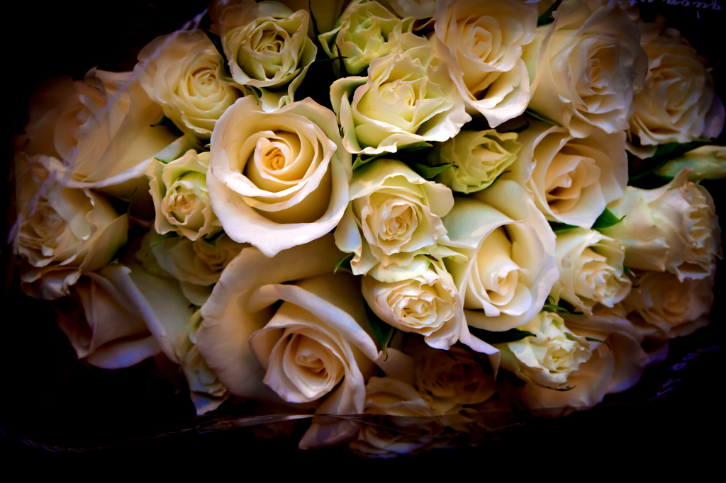 A Rose Bouquet 