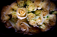A Rose Bouquet 