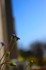 ビヨーンX2 ビヨーンX2