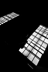 IMG_1830