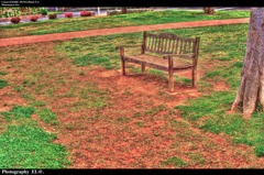 photo1102576 photo1102576