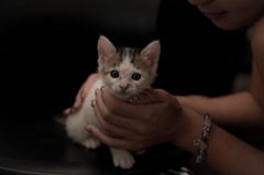 photo1384914