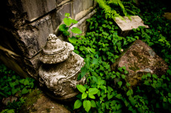 photo1320952