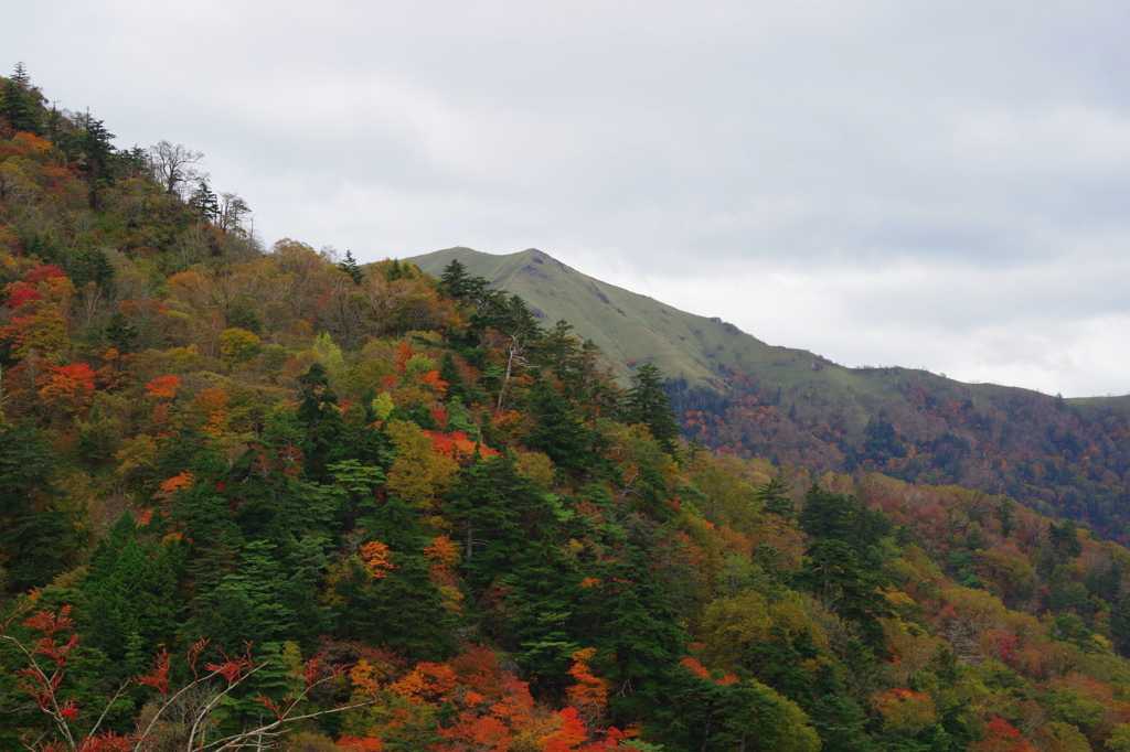 剣山紅葉-2015-