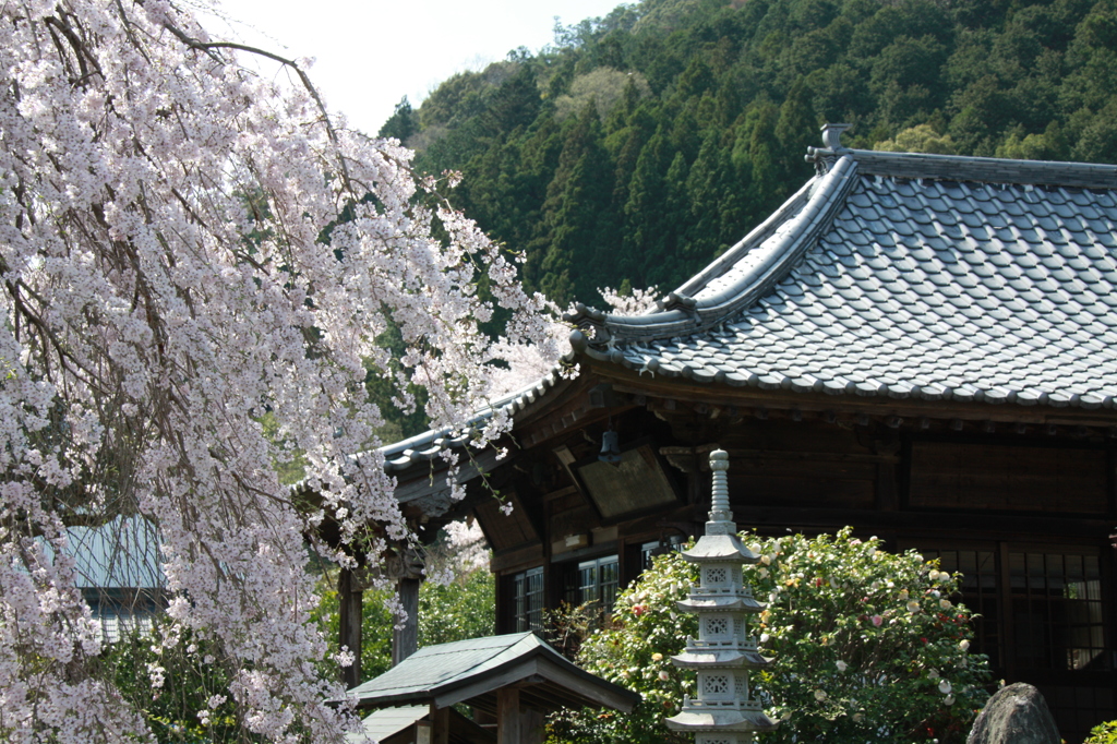 -明王寺-2015