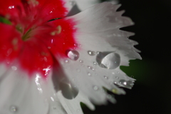 水滴１