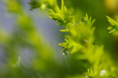 水滴３