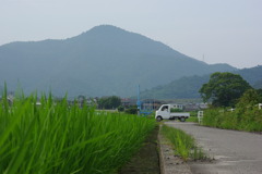 田舎