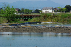 田舎