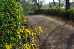 遊歩道