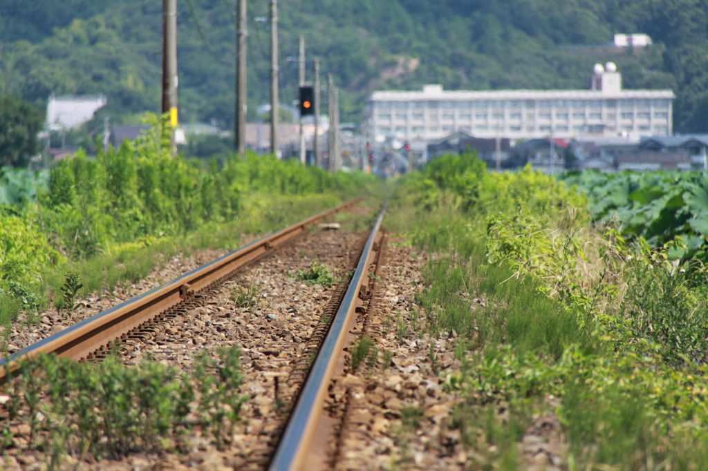 線路