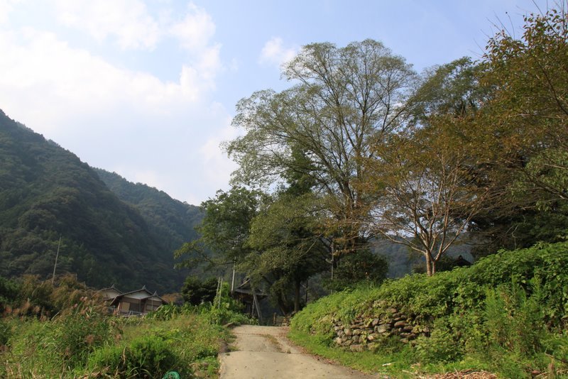 田舎の風景