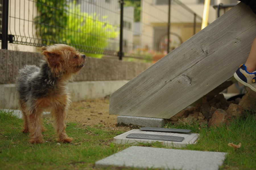 おいおい！大丈夫？