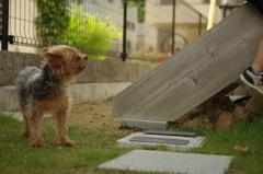 おいおい！大丈夫？