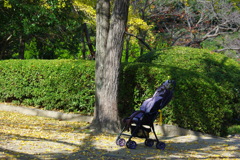 紅葉狩り