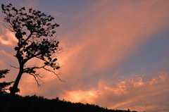 夕焼け