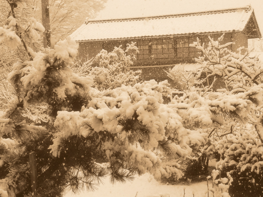 雪