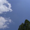 くもと、き