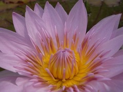 R0010446