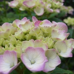 R0011551