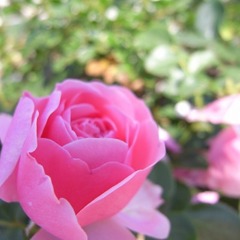 R0011514