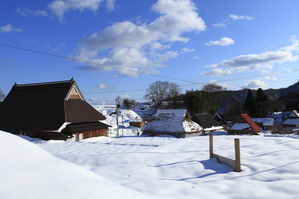 郷　雪