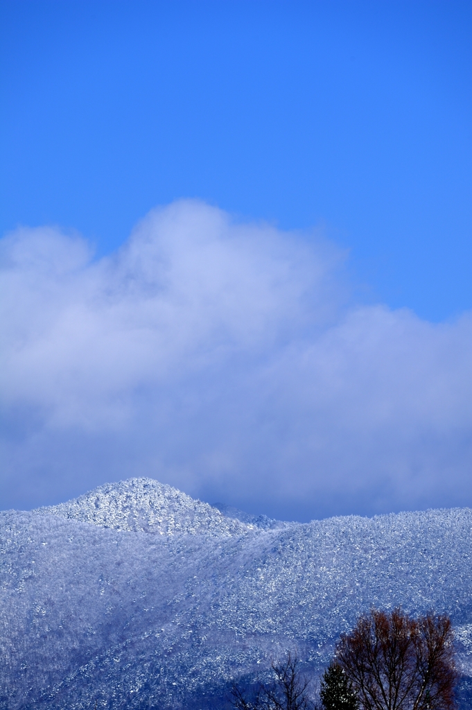 雪空