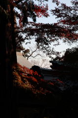 紅～べに～