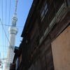Babel