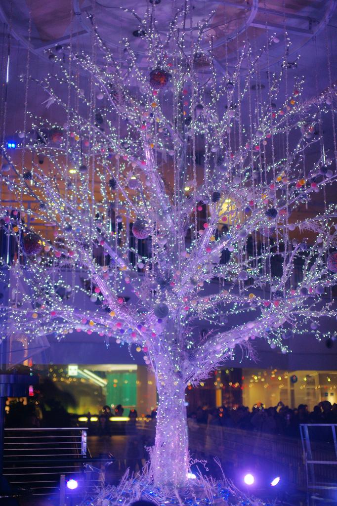 Holy tree