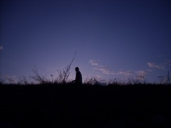 夕暮れのさんぽみち