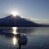 Swan Lake～フィナーレ～