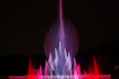The fountain