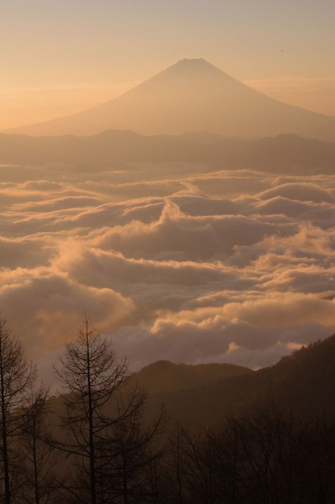 金色の雲