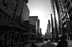 The street