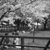 May spring come early