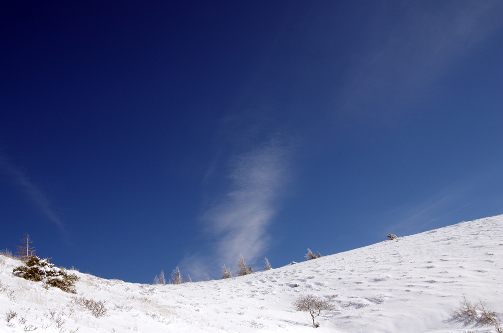 鉢伏山の林道から