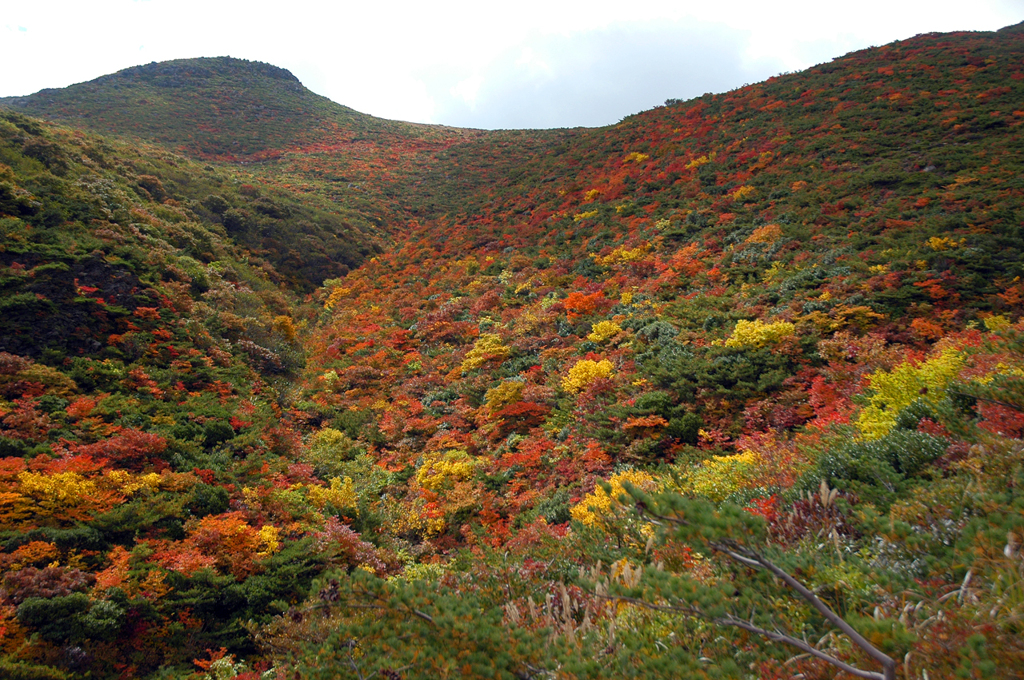 安達太良山の紅葉