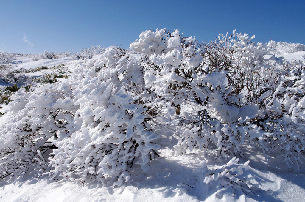 平標山の頂にて