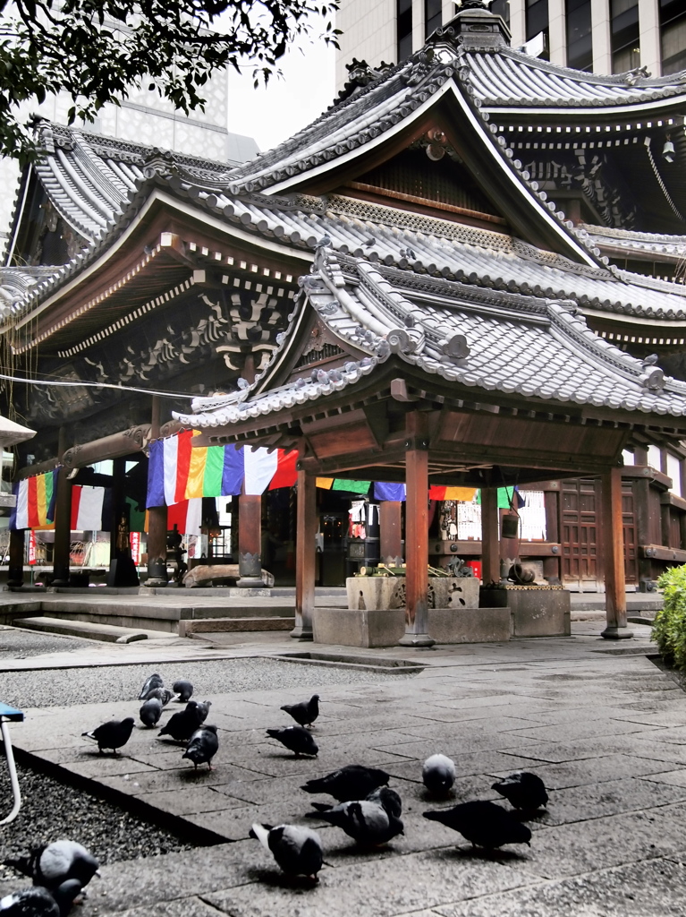 京都　六角堂