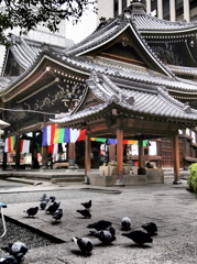 京都　六角堂