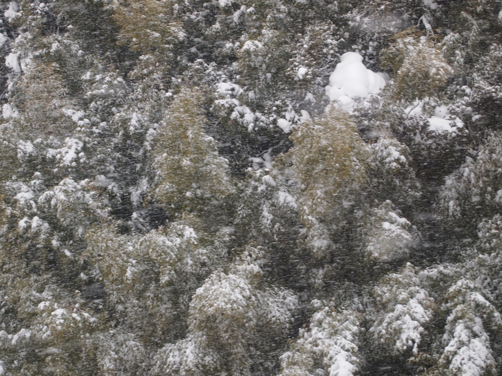 吹雪