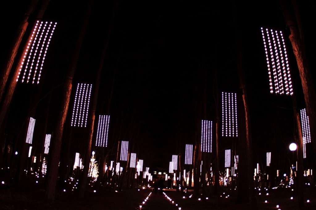 星降る森のクリスマス