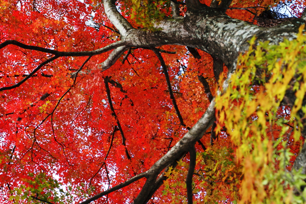 もうすこし・・・